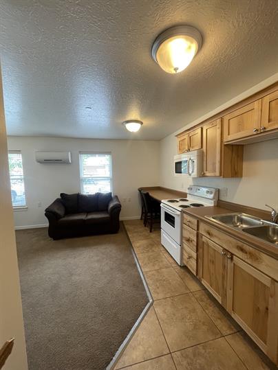 145 E Center Street - 1C